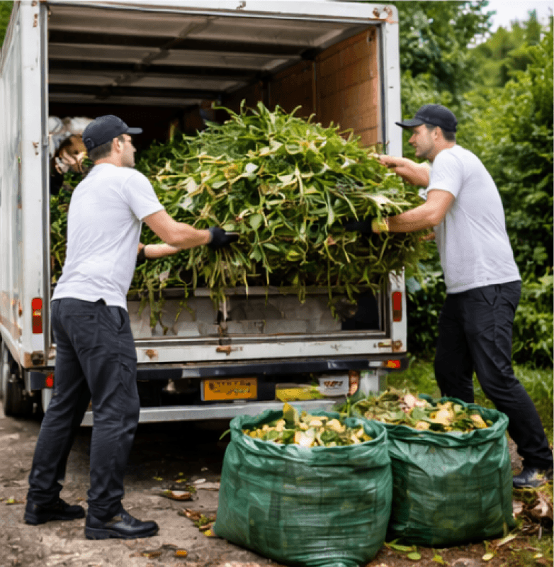 Garden & Outdoor Clearances